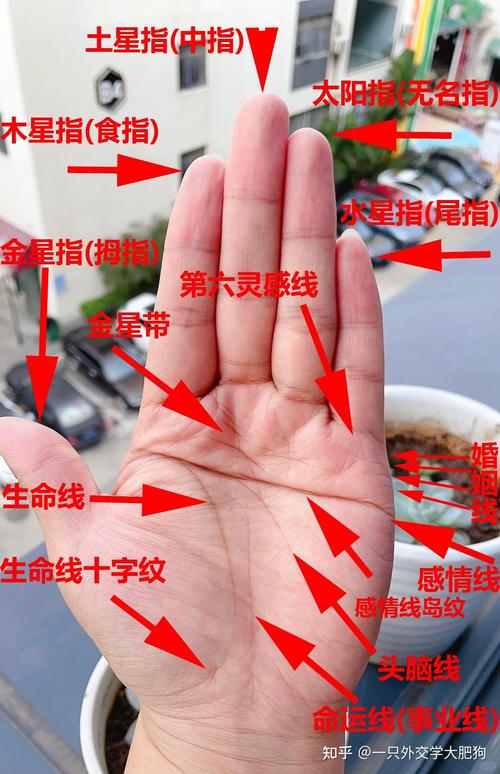 命運線若有斷痕時、命運線往上或下延伸手相