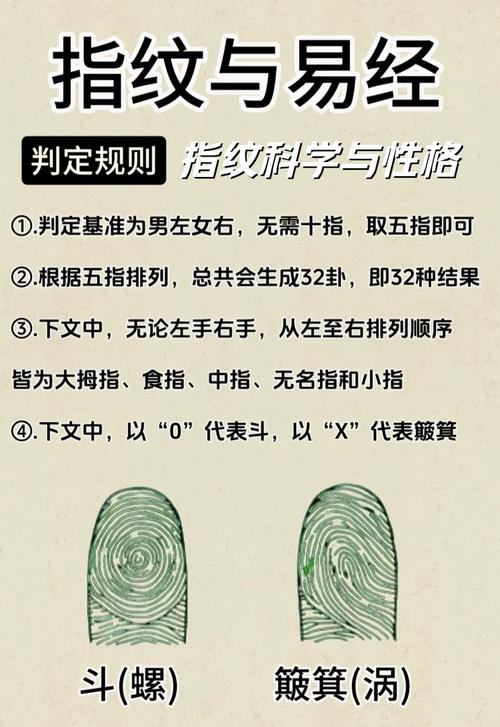 大拇指 大姆指指紋手相圖解