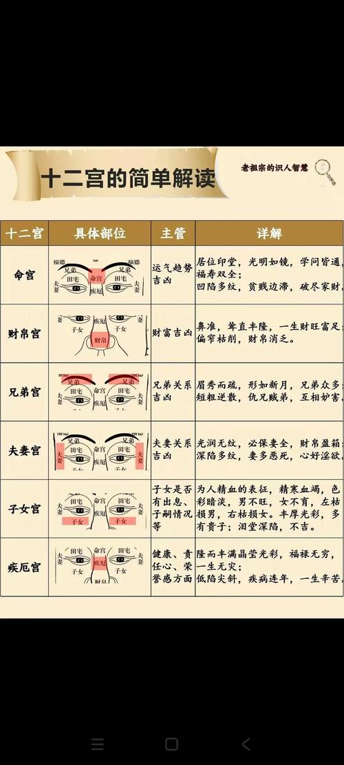 如何替現(xiàn)代女性看面相