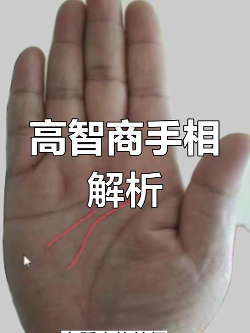 手相兩條智慧線好嗎