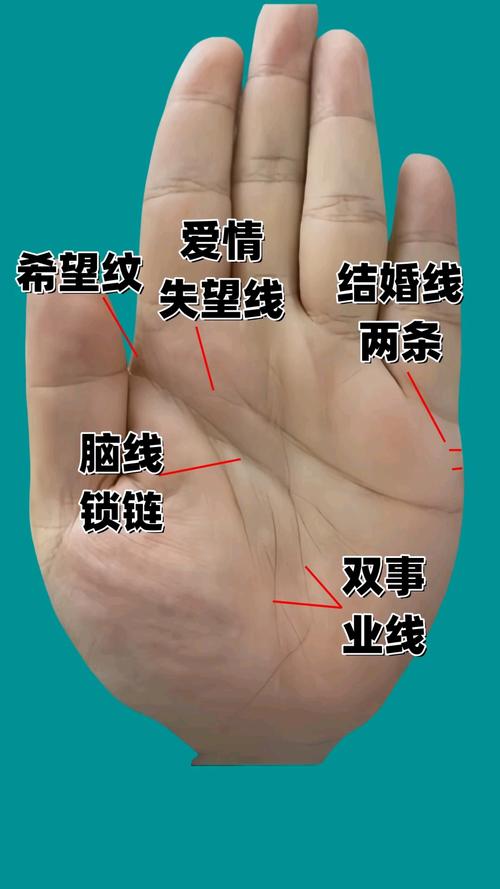 什么手相適合創(chuàng)業(yè)