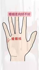 愛情線姻緣圖解 女生愛情線圖解大全