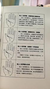 智慧線彎曲圖解