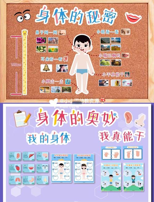 不同的部位分別可以看到哪些事？