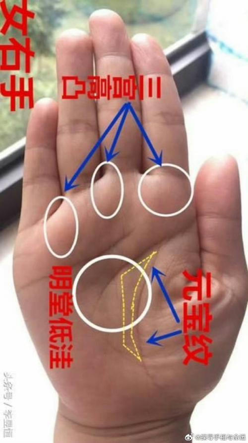 相術：六種不缺錢花的手型
