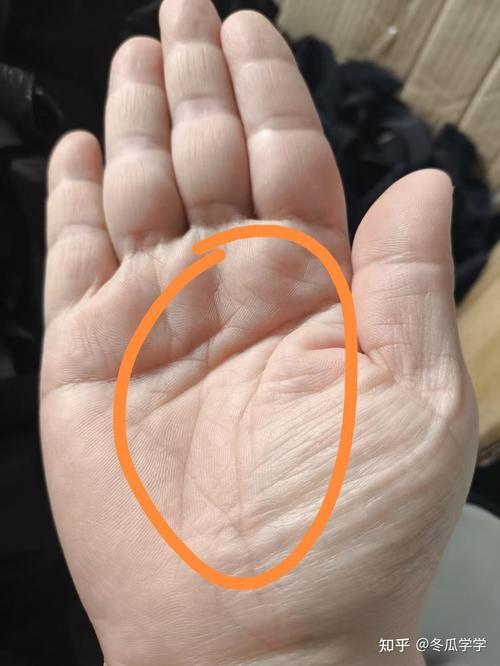 象征著大器晚成的男性手相特征