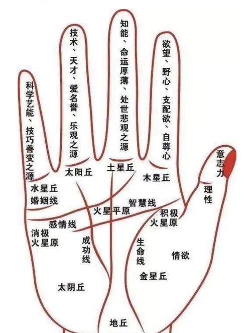 看手相要遵循的原則是什么？