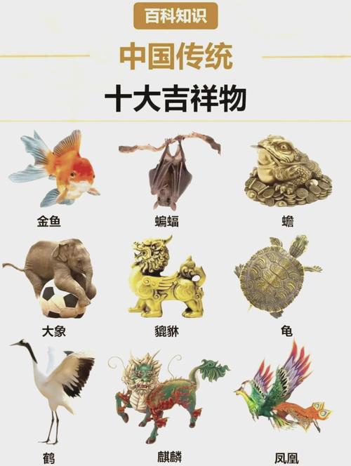 五種不祥物家中千萬不能擺