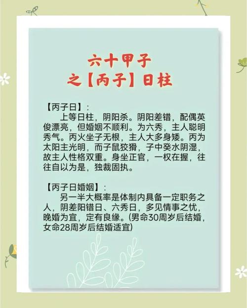 丙子日柱看配偶 丙申己酉日柱