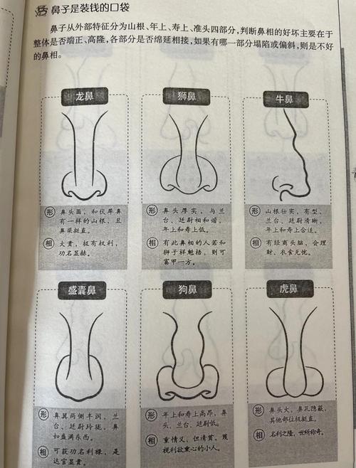 有的人一眼就帶福相 鼻頭有肉