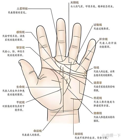 女人手相30歲后看左手 女人在30歲以前以右手為主