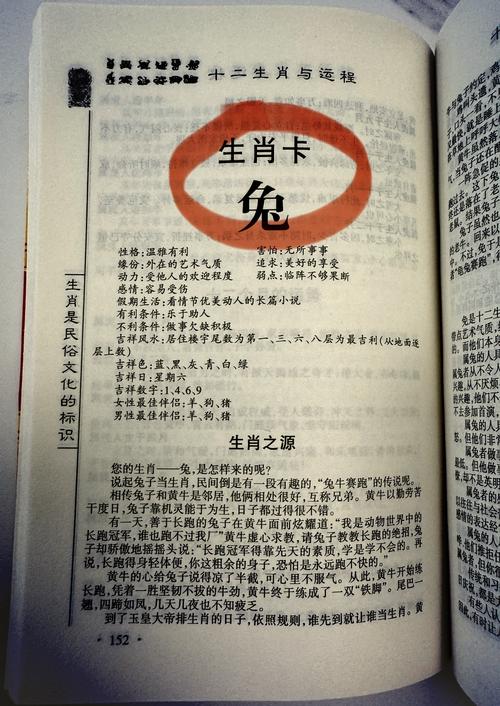 屬兔人最大的弱點是什么