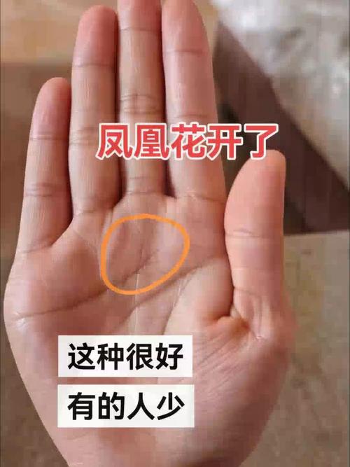 手相中有鳳尾紋就會離婚嗎