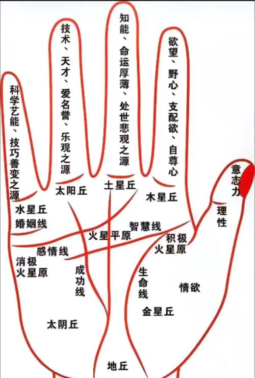 手相生命線怎么看