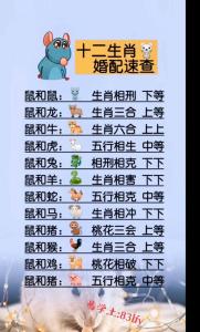鼠和兔合作生意怎么樣 屬兔婆婆和屬鼠兒媳婦合嗎