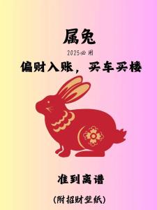 屬兔如何增加財運