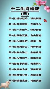 屬羊白頭偕老的生肖有哪幾個