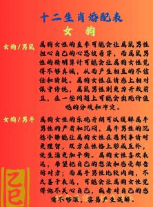 屬狗人婚姻配對表 屬狗正緣出現在哪年
