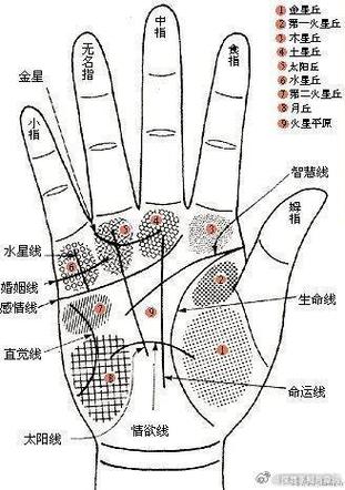 食指內側長痣代表什么