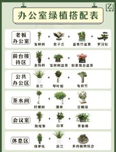 辦公室花卉植物的風水講究