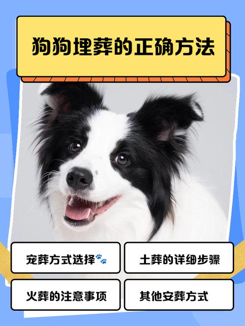 安葬小狗有何風水講究