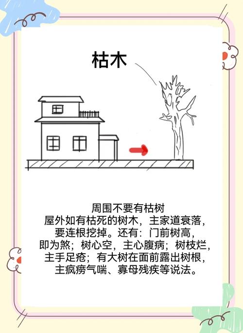 樹蓋過房頂風水講究