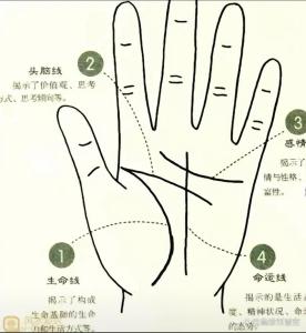 《手相學習百科》：生命線