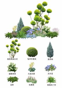 植物風(fēng)水教你，庭院植物搭配怎么樣最舒適