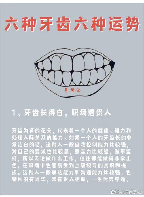 牙齒看相：從牙齒的形態(tài)看人的性格和命運