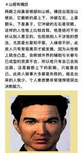 分析不同的山根紋路