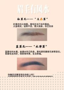 什么樣的眉毛好？眉毛長好不好