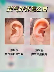 耳朵沒耳垂的人一定沒福嗎 分析耳朵與命運的關系
