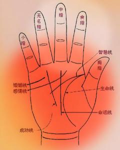 手掌紋怎么看手相圖解 經商奇才賺大錢手相