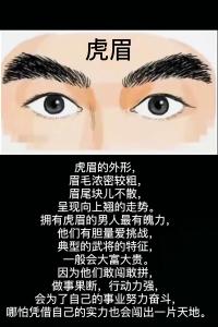 虎眉男人的命運(yùn)
