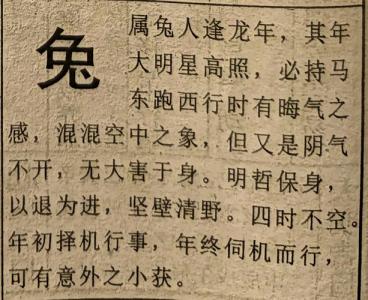 生肖兔2024年9月運勢及運程 生肖兔2024年9月運勢解析
