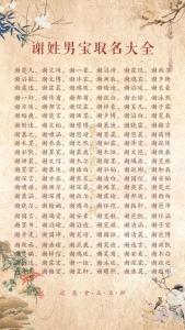 龍年謝姓男孩名字大全 龍年謝姓男孩陽剛硬氣的名字