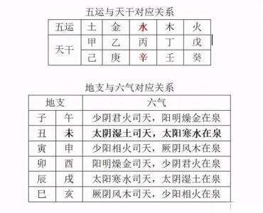中醫五運六氣怎么推算？利用五行干支
