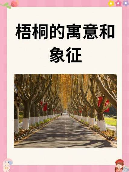 家大門口兩邊梧桐樹在風水中的講究