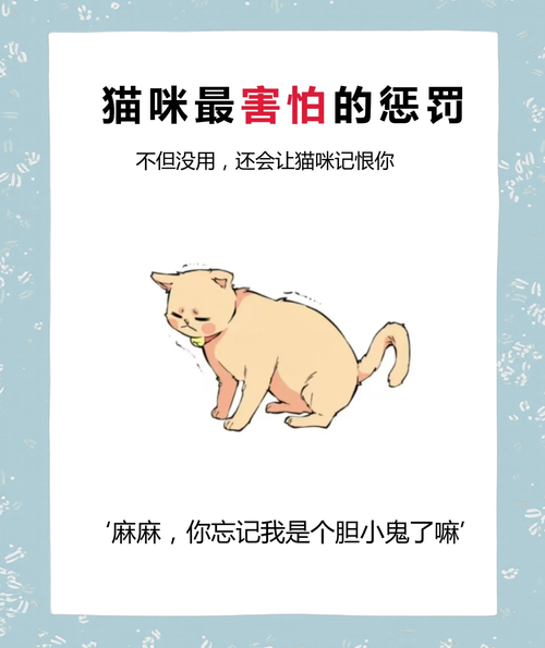 好奇心害死貓，千萬不能碰的不祥之物