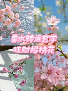 2016元旦如何旺財(cái)旺桃花？