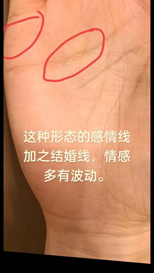 感情線上有島紋的女人 有島紋是什么意思