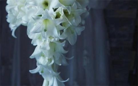 2026年農(nóng)歷三月初七結(jié)婚日子如何 今日辦喜事好不好