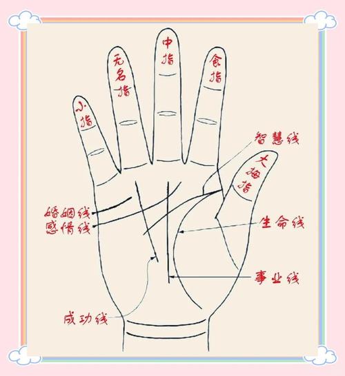 分析十指流紋的女人手相