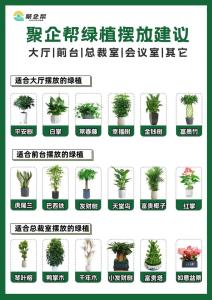 2020年辦公室擺放植物的忌諱