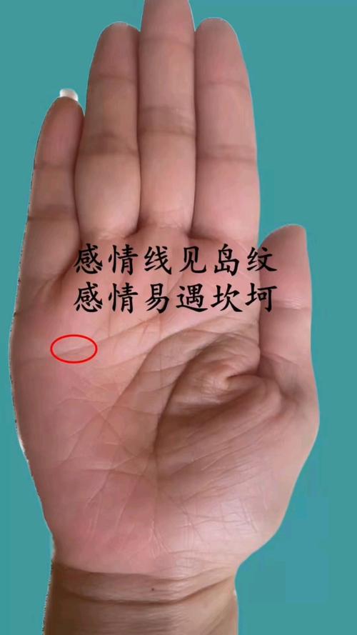 感情線有島紋代表什么 有何說法