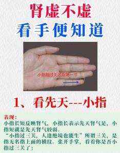 男人的小拇指短代表著什么