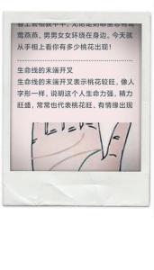 從女人手掌看桃花運如何