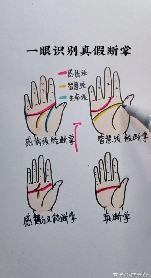 斷掌手相圖解大全