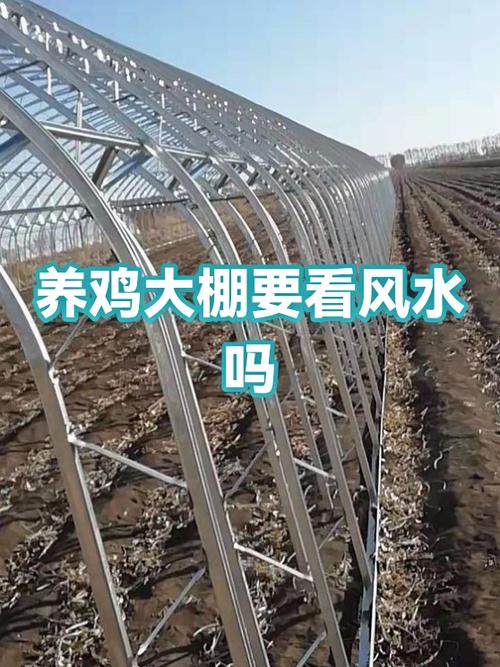 家里扣大棚有哪些講究在風水方面