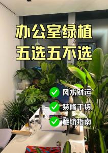 辦公室擺設植物風水講究